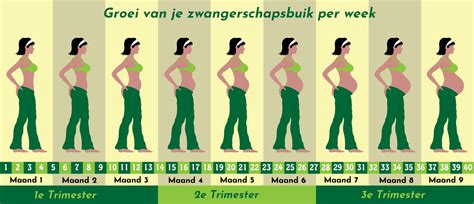 na hoeveel maanden daten relatie|Dit is dé tijdlijn voor een gemiddelde relatie